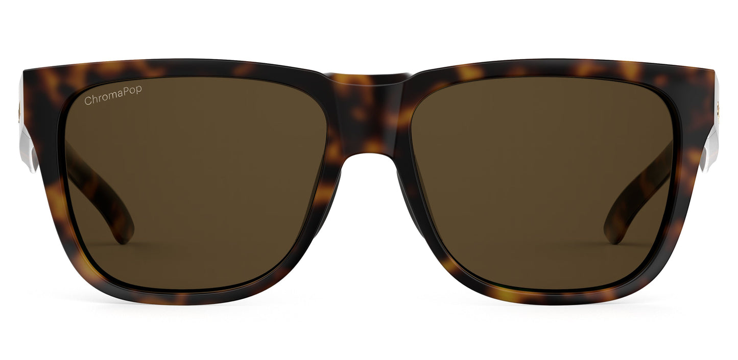 Lowdown 2 | Tortoise