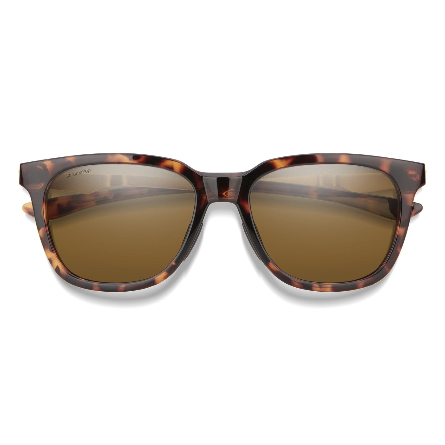 Roam | Tortoise