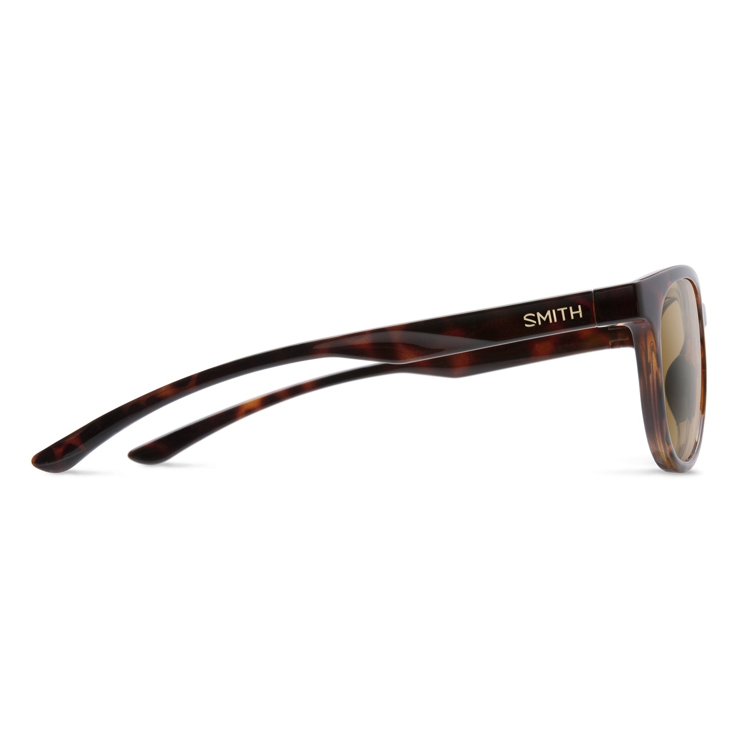 Eastbank | Tortoise