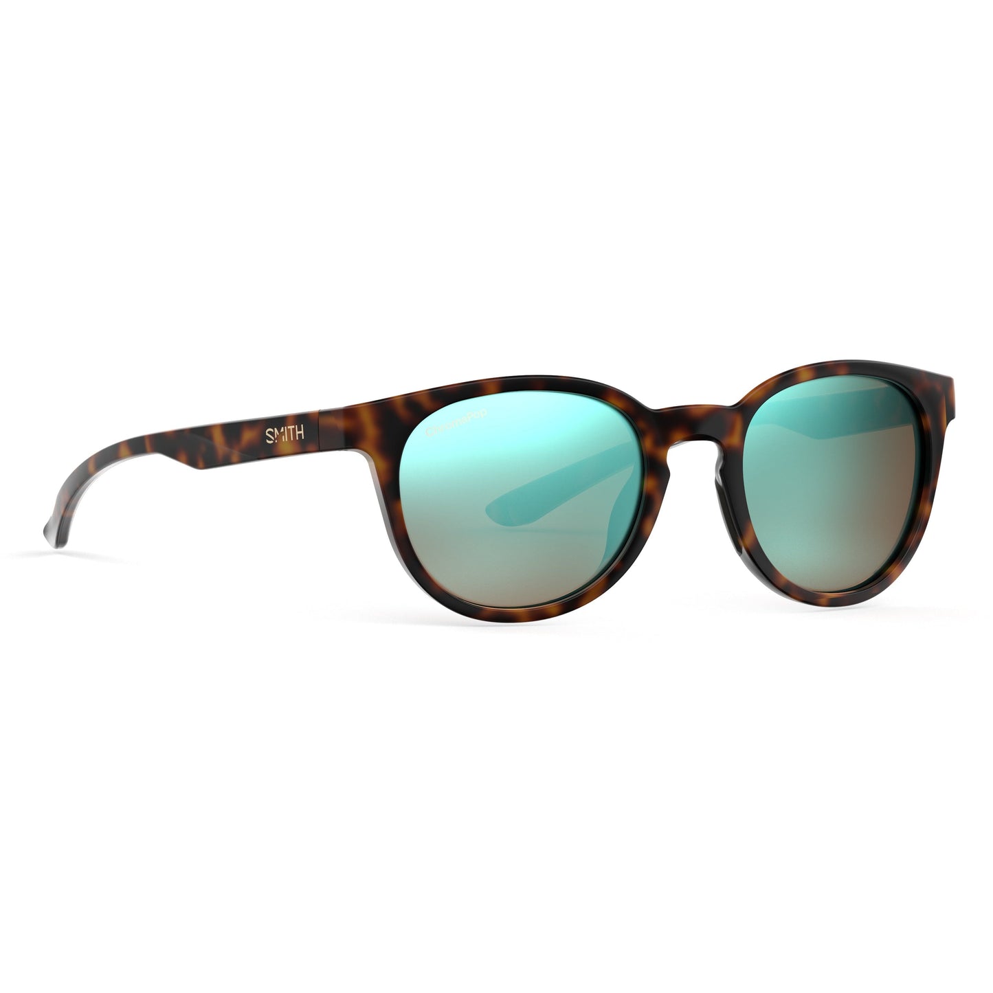 Eastbank | Tortoise