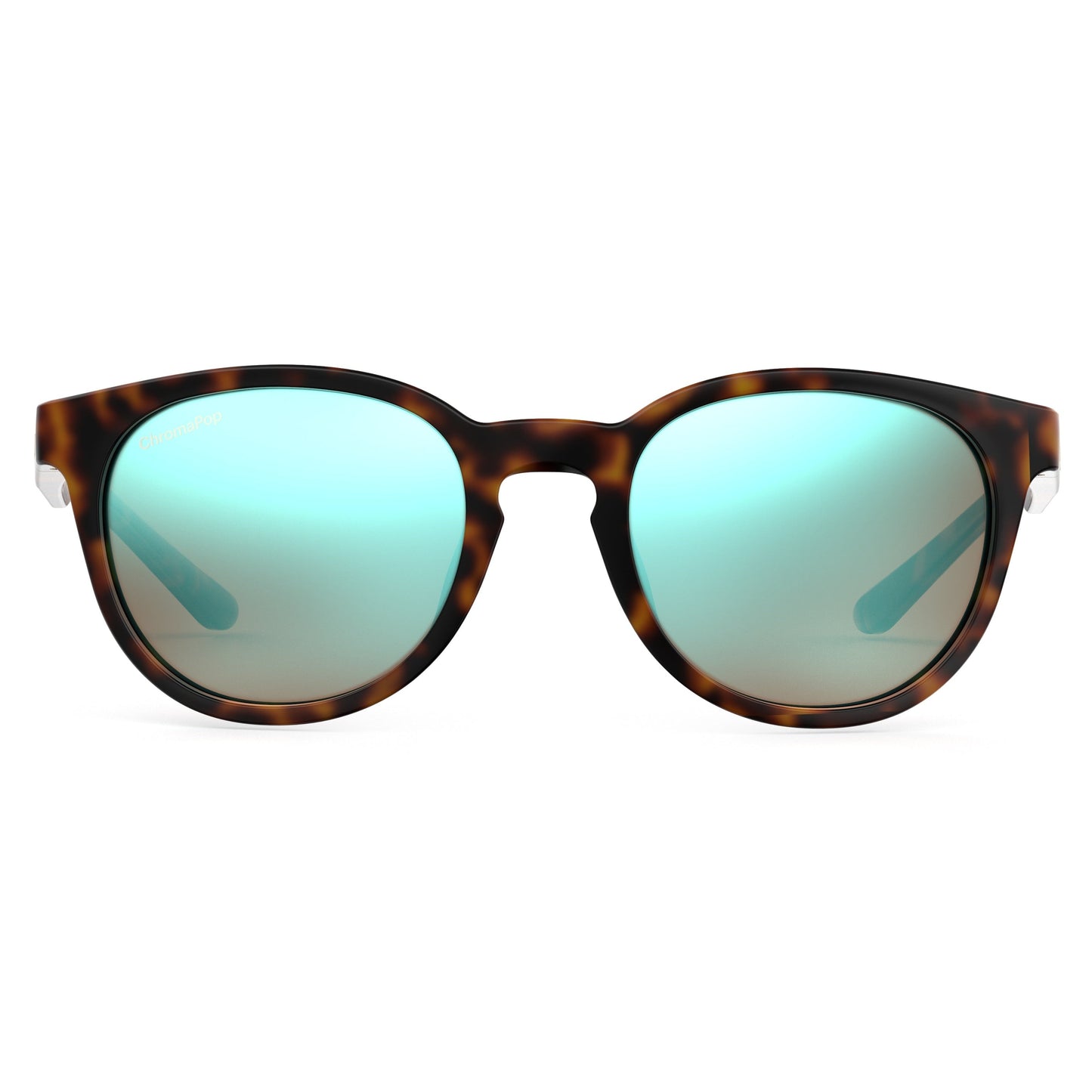 Eastbank | Tortoise