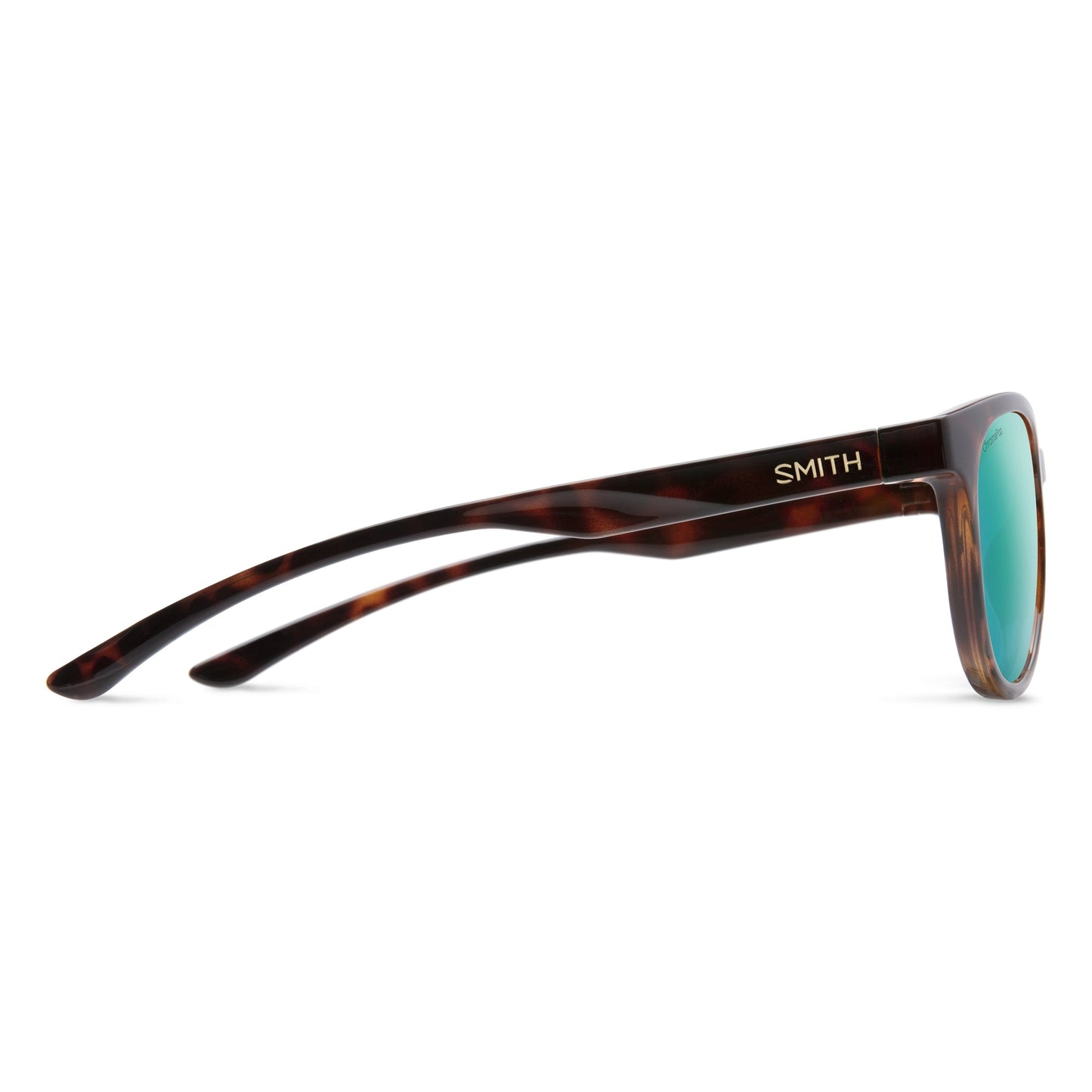 Eastbank | Tortoise