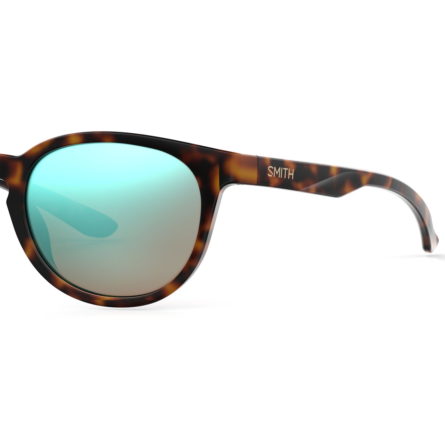 Eastbank | Tortoise