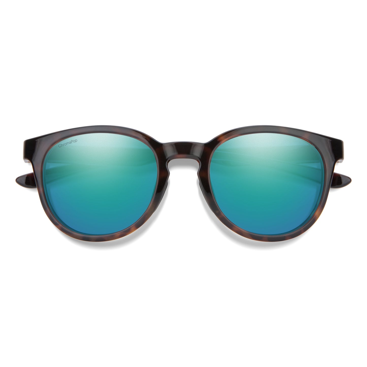 Eastbank | Tortoise