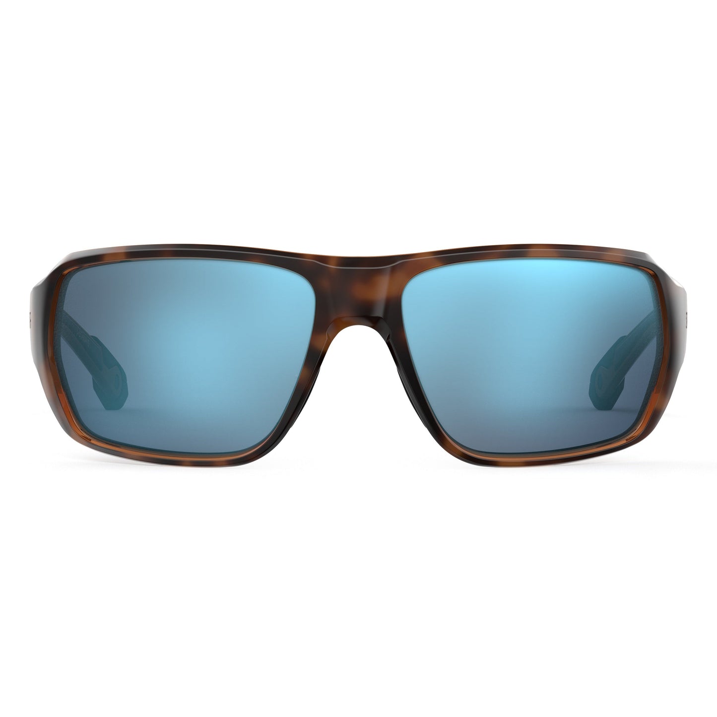 Castaway | Tortoise