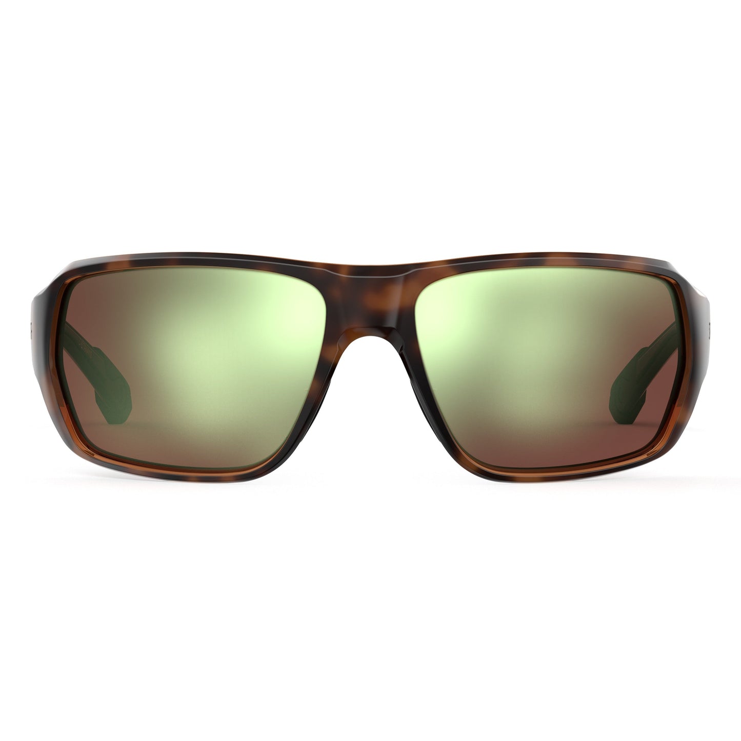 Castaway | Tortoise