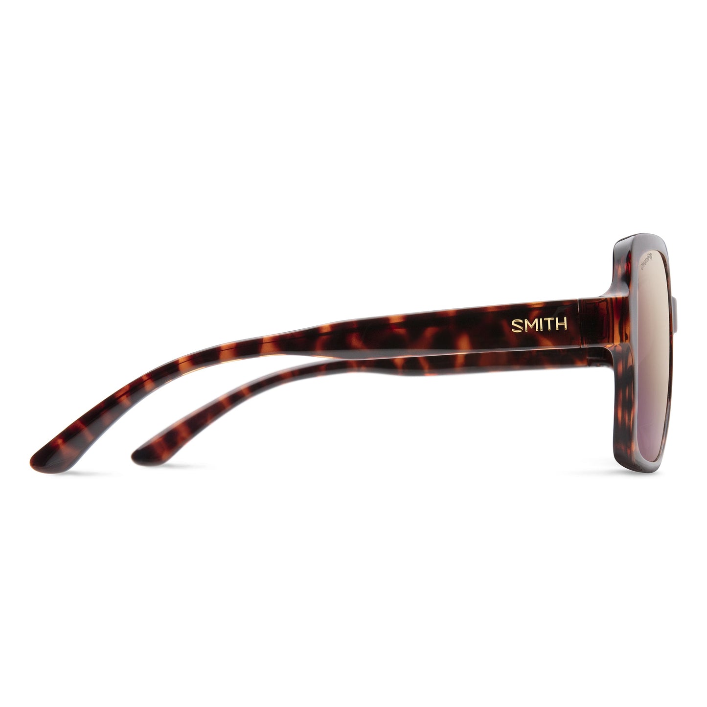 Flare | Tortoise