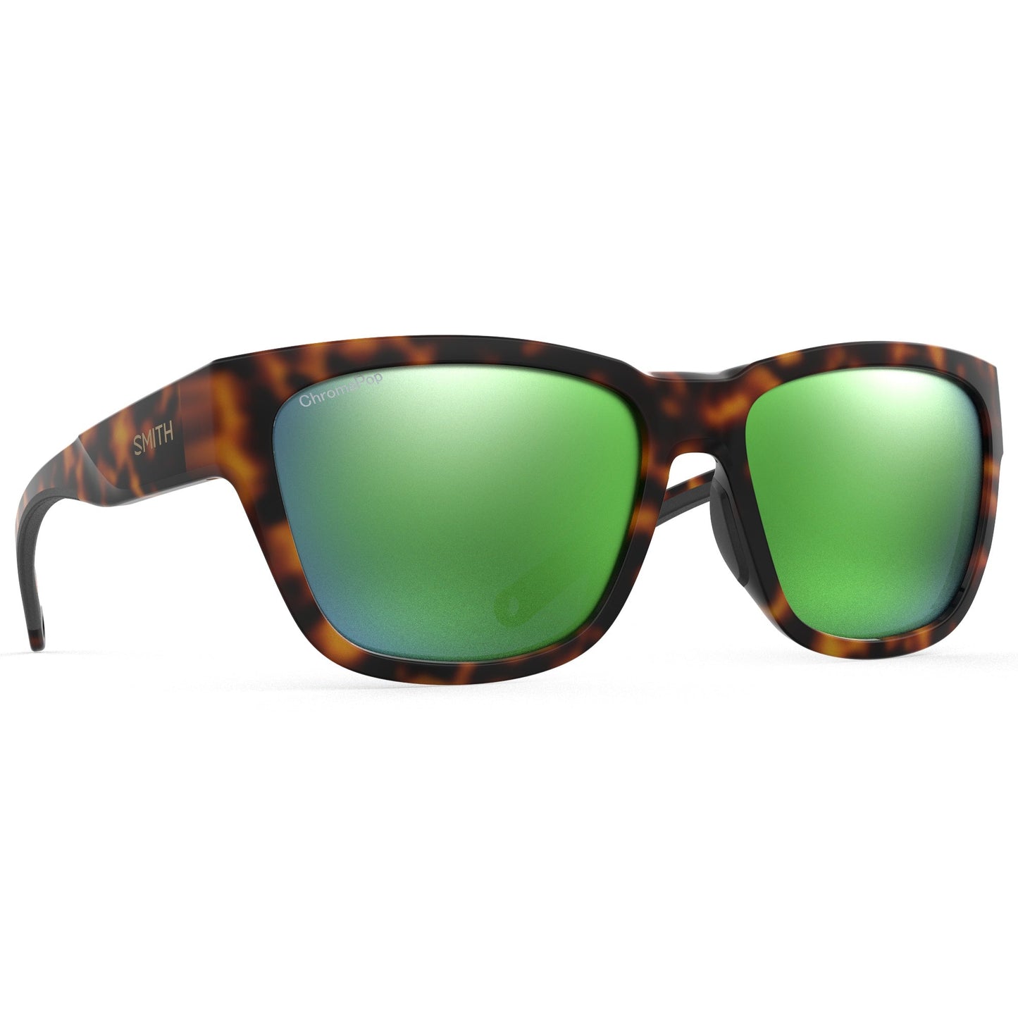 Joya | Tortoise