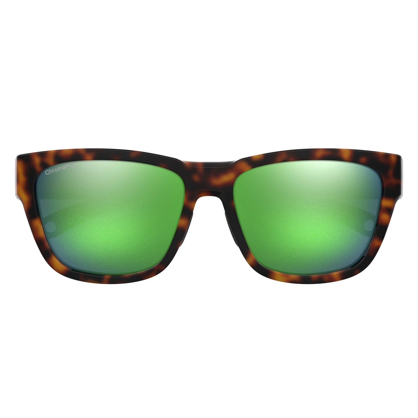 Joya | Tortoise