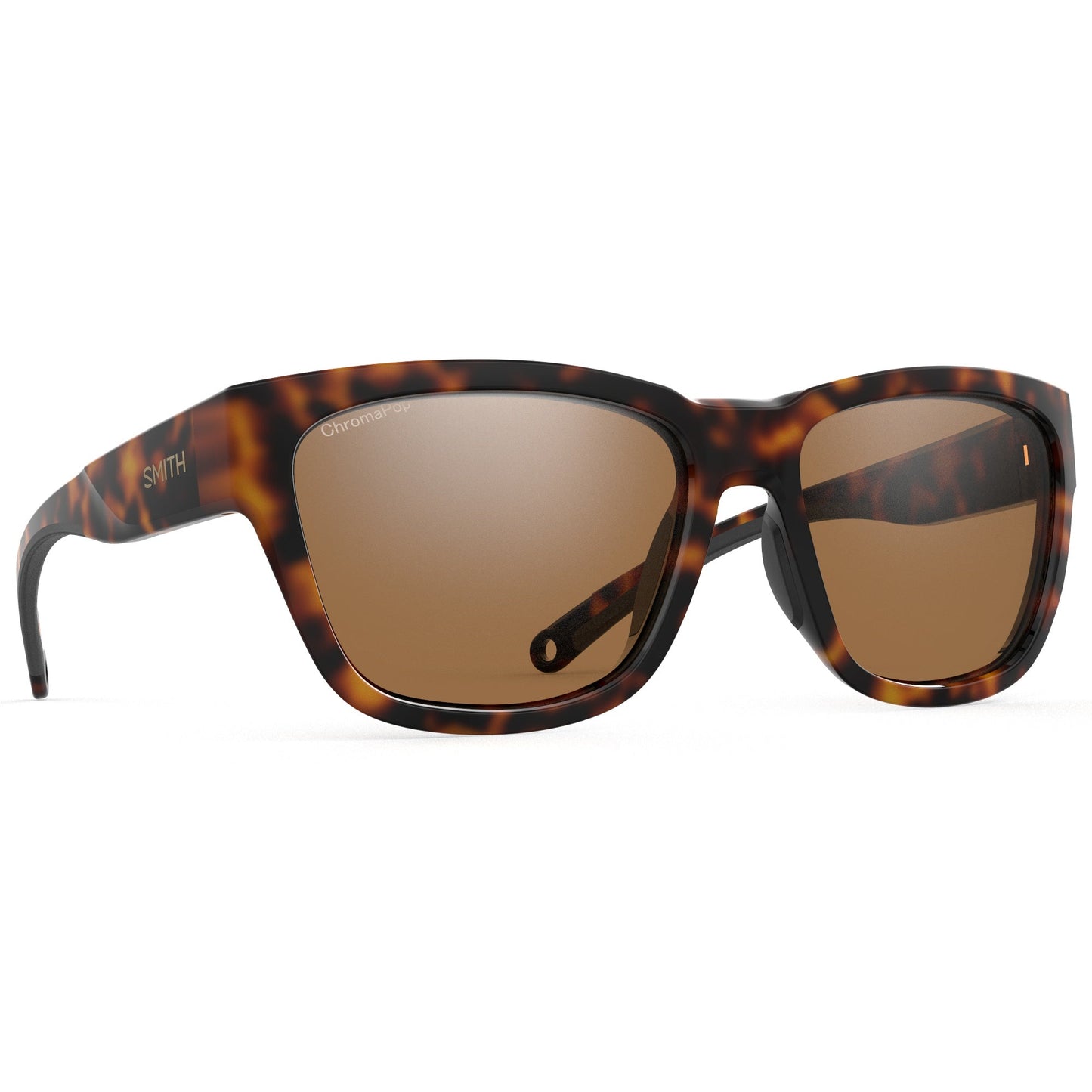 Joya | Tortoise