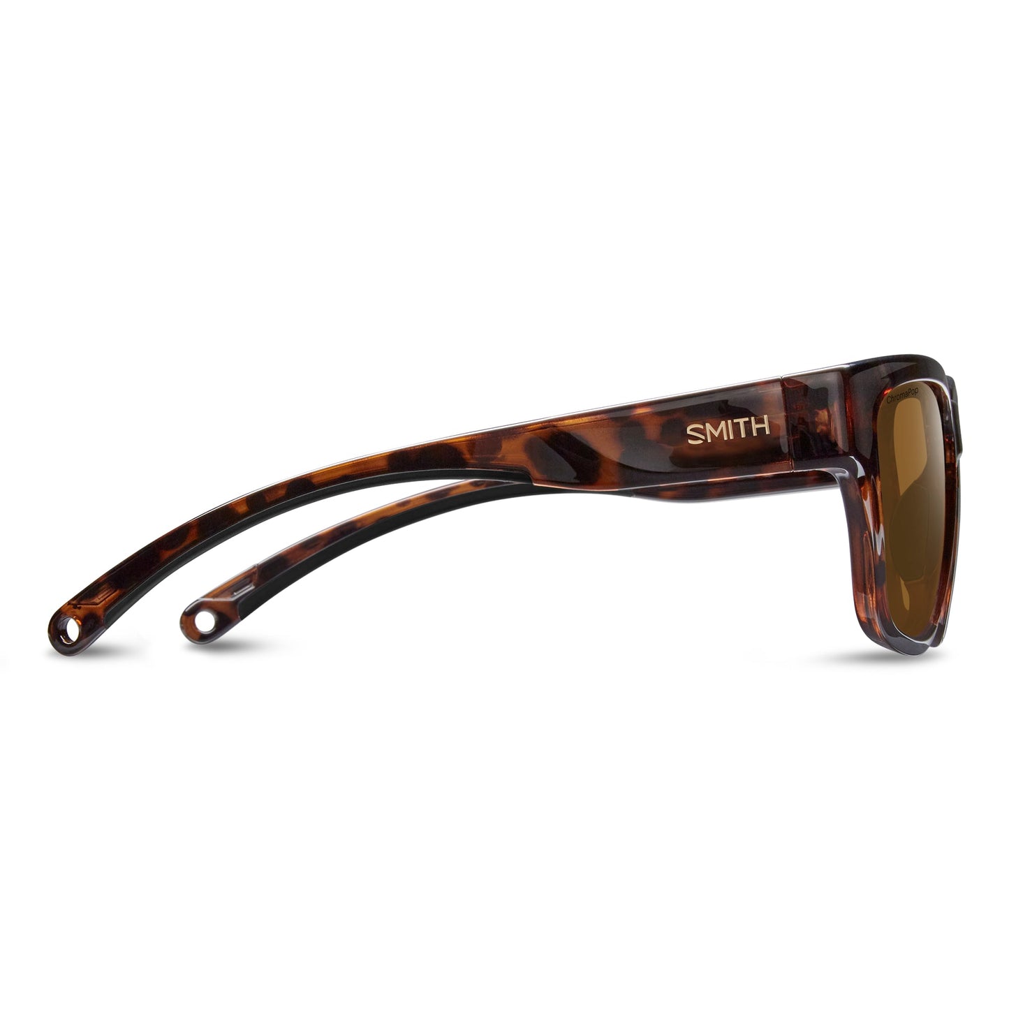 Joya | Tortoise