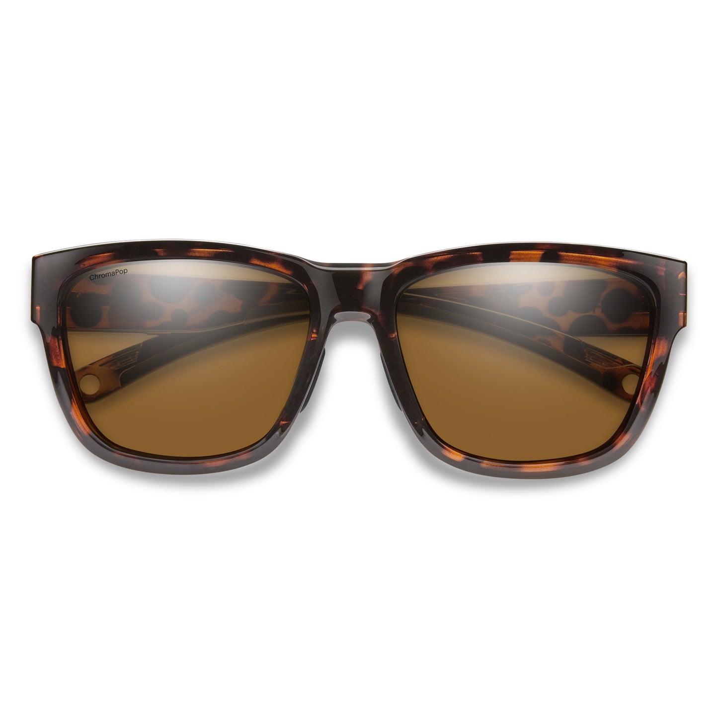 Joya | Tortoise