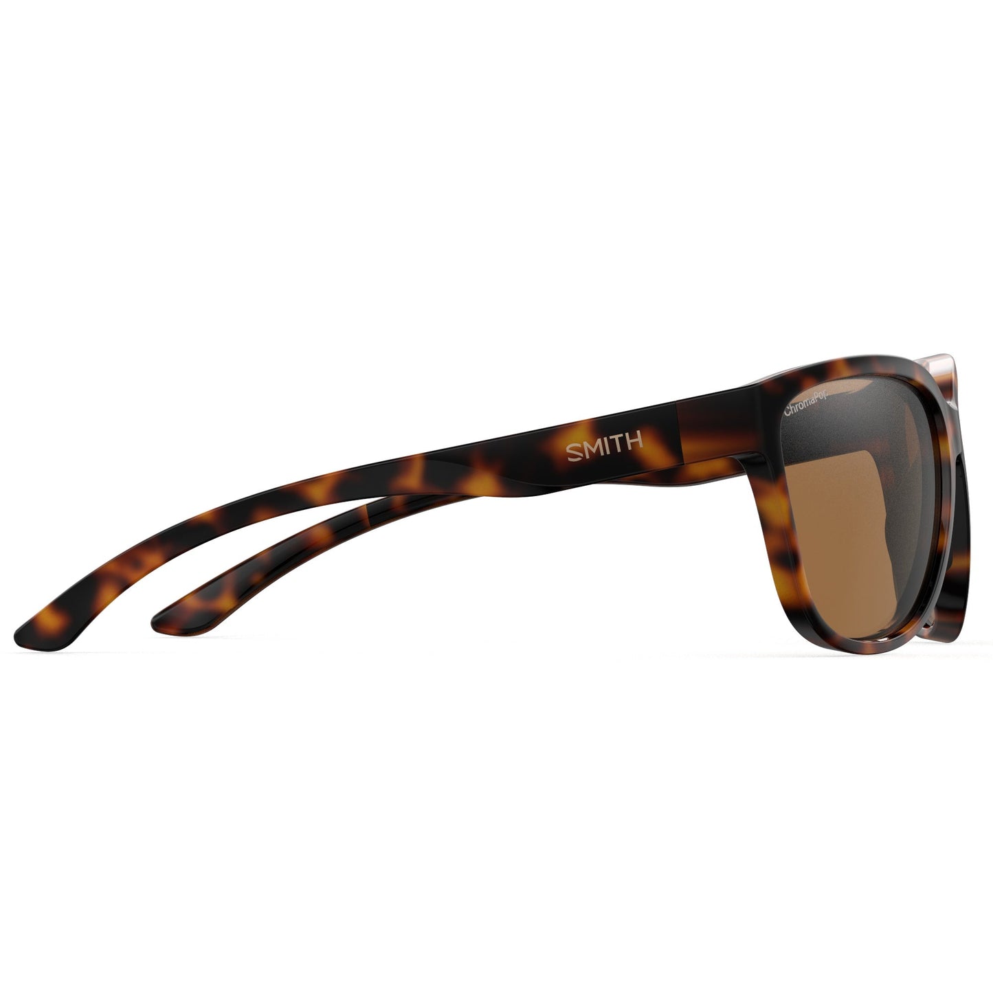 Monterey | Tortoise