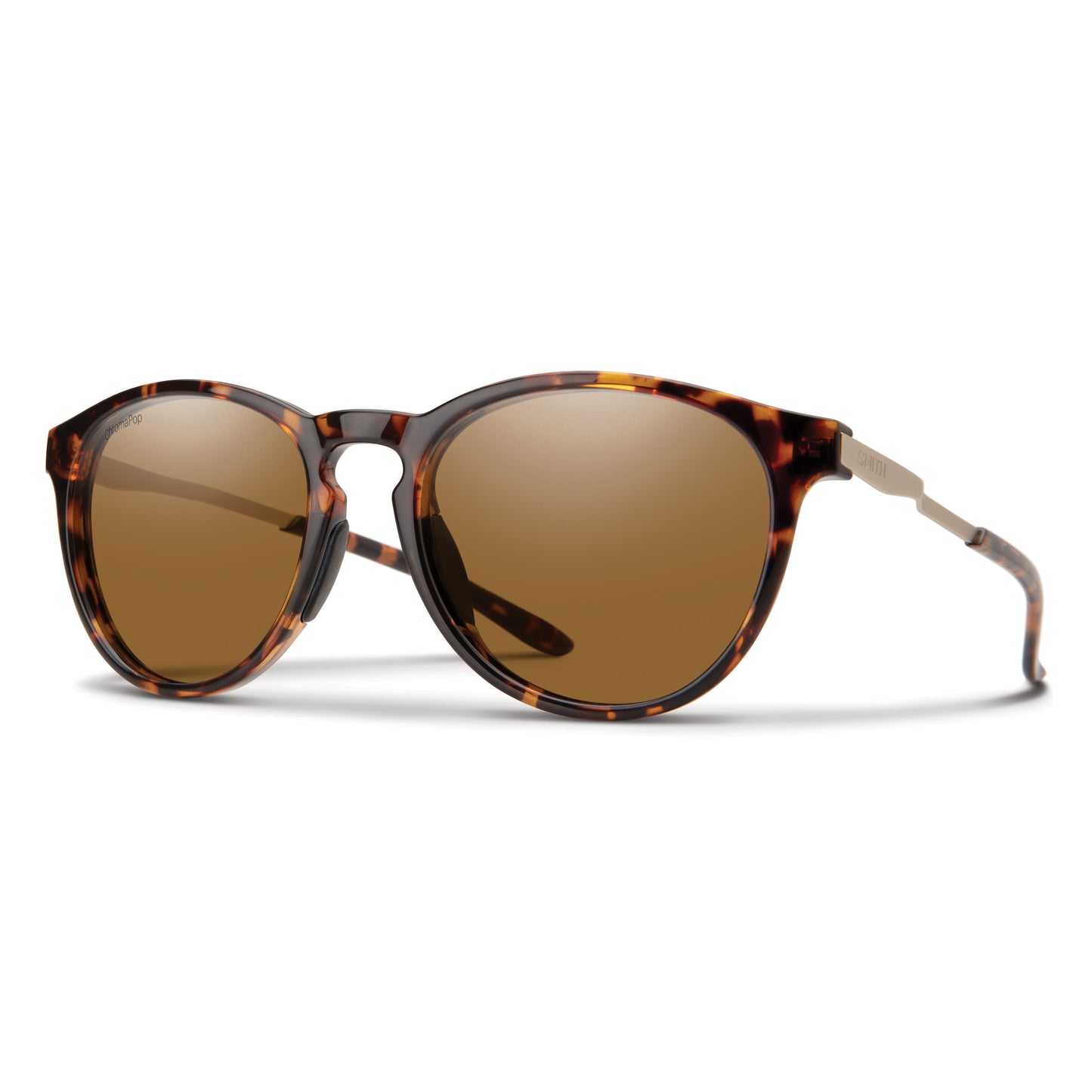 Wander | Tortoise