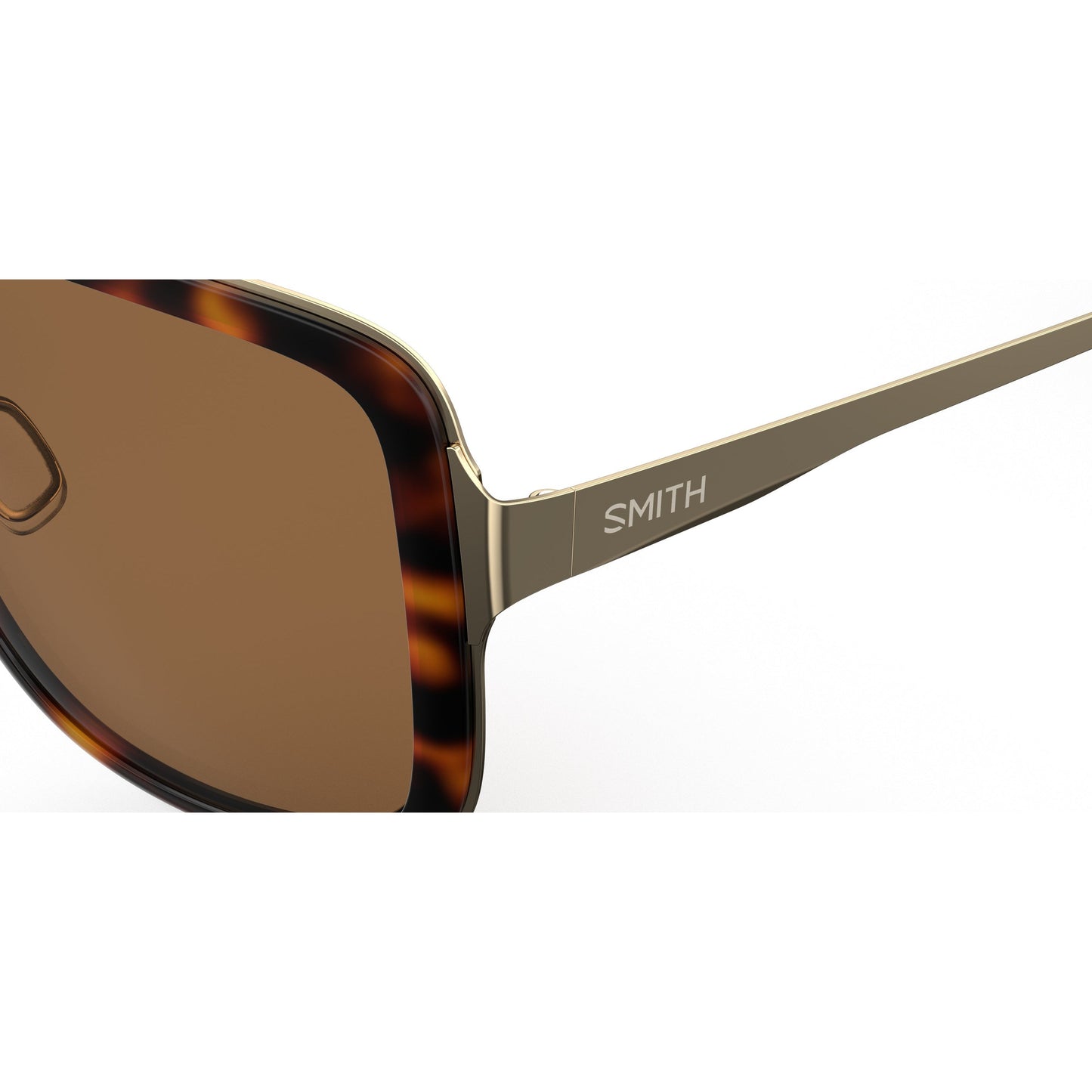 Aveline | Tortoise