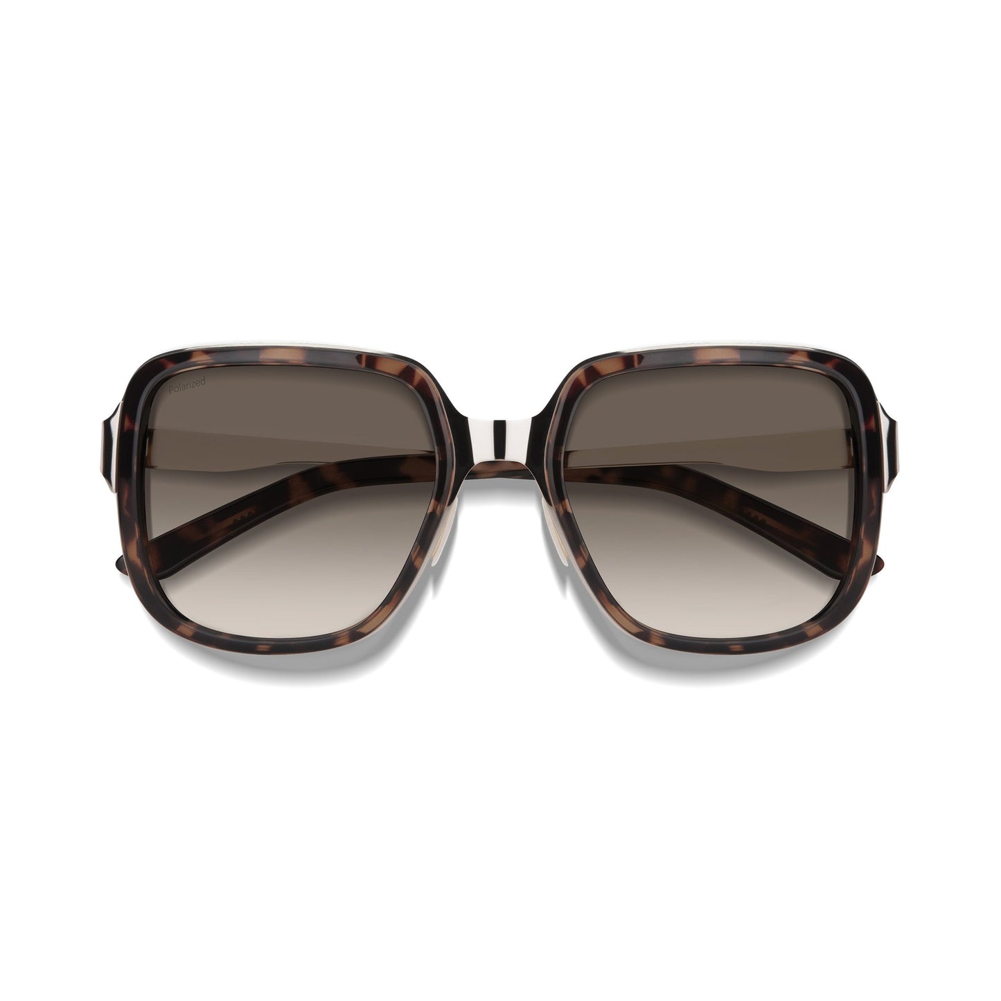 Aveline | Tortoise