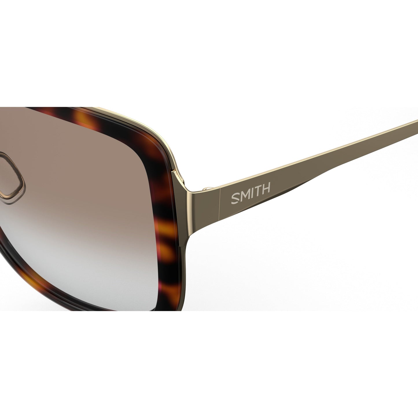 Aveline | Tortoise