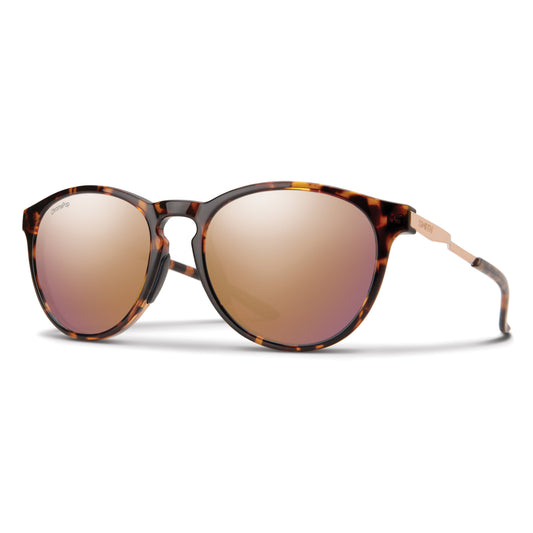 Wander | Tortoise