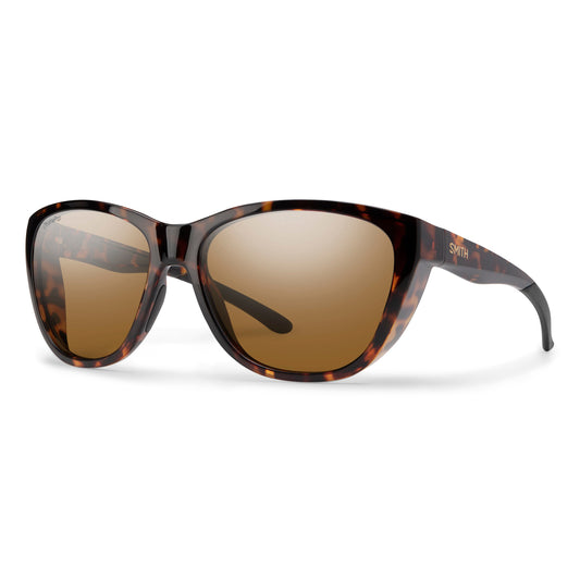 Shoal | Tortoise